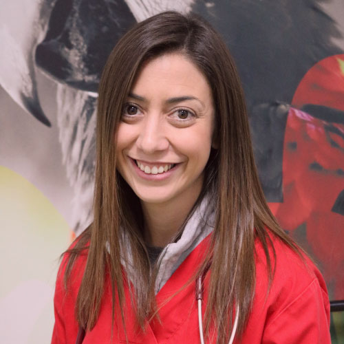 Dra. Joana Fernandes Dra. Joana Fernandes