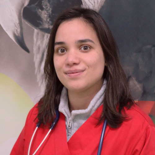 Dra. Joana Silva Dra. Joana Silva