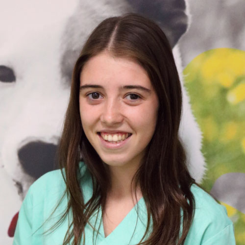 Enf. Daniela Henriques Enf. Daniela Henriques