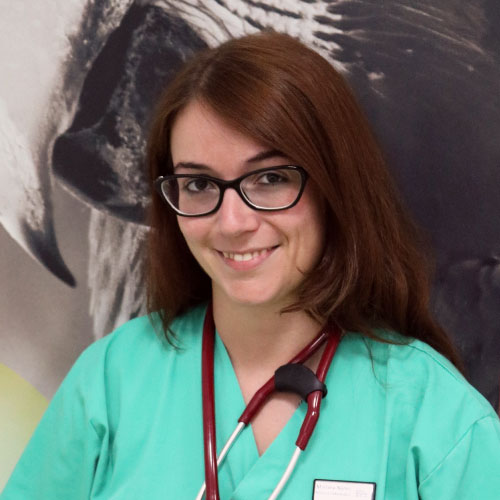 Dra. Mariana Nunes Dra. Mariana Nunes