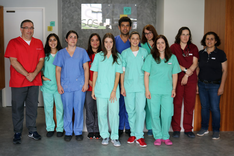 Equipa SOS Animal
