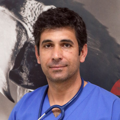 cropped-Evaristo_Martins.jpg